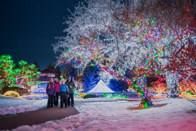 A family enjoy the lights at Nikka Yuko Japanese Gardens in Lethbridge