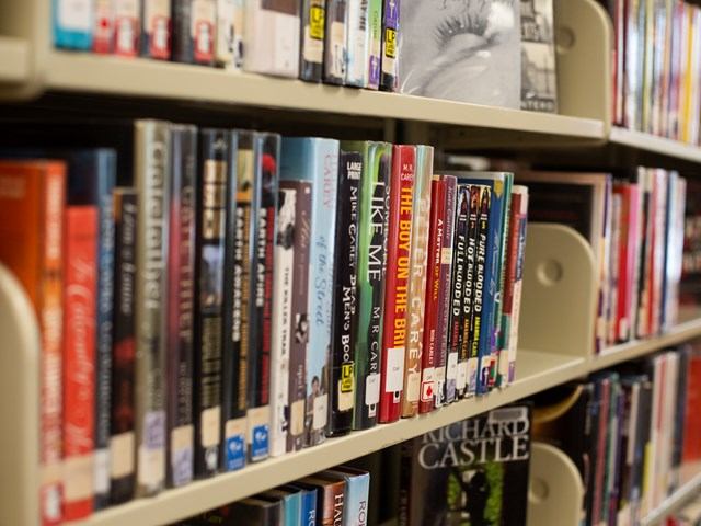 A library shelf filled with various colorful books, some with visible titles and cover designs, conveying a sense of discovery and knowledge.