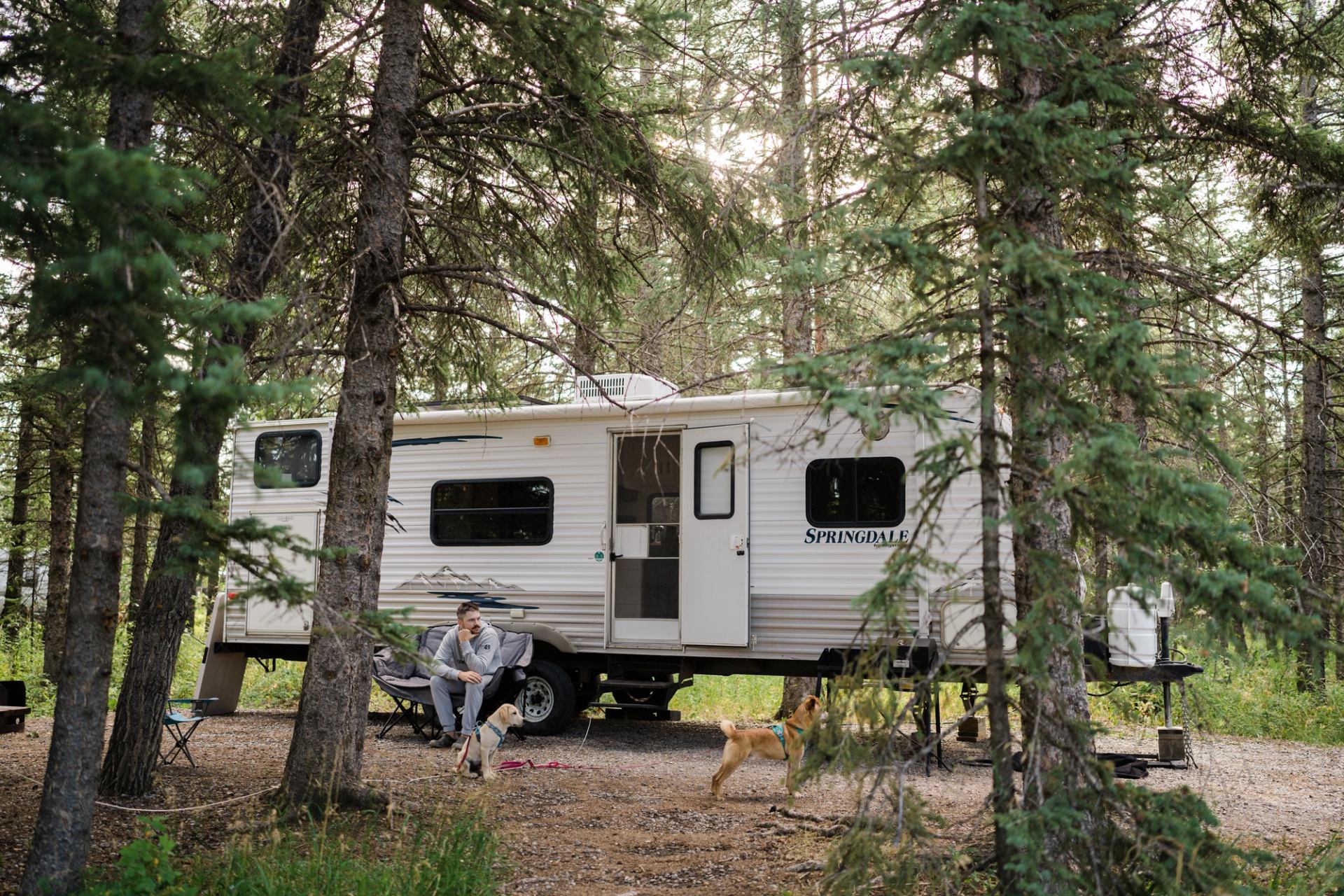 A trailer set up in a wooded campsite with a person and dog relaxing nearby.