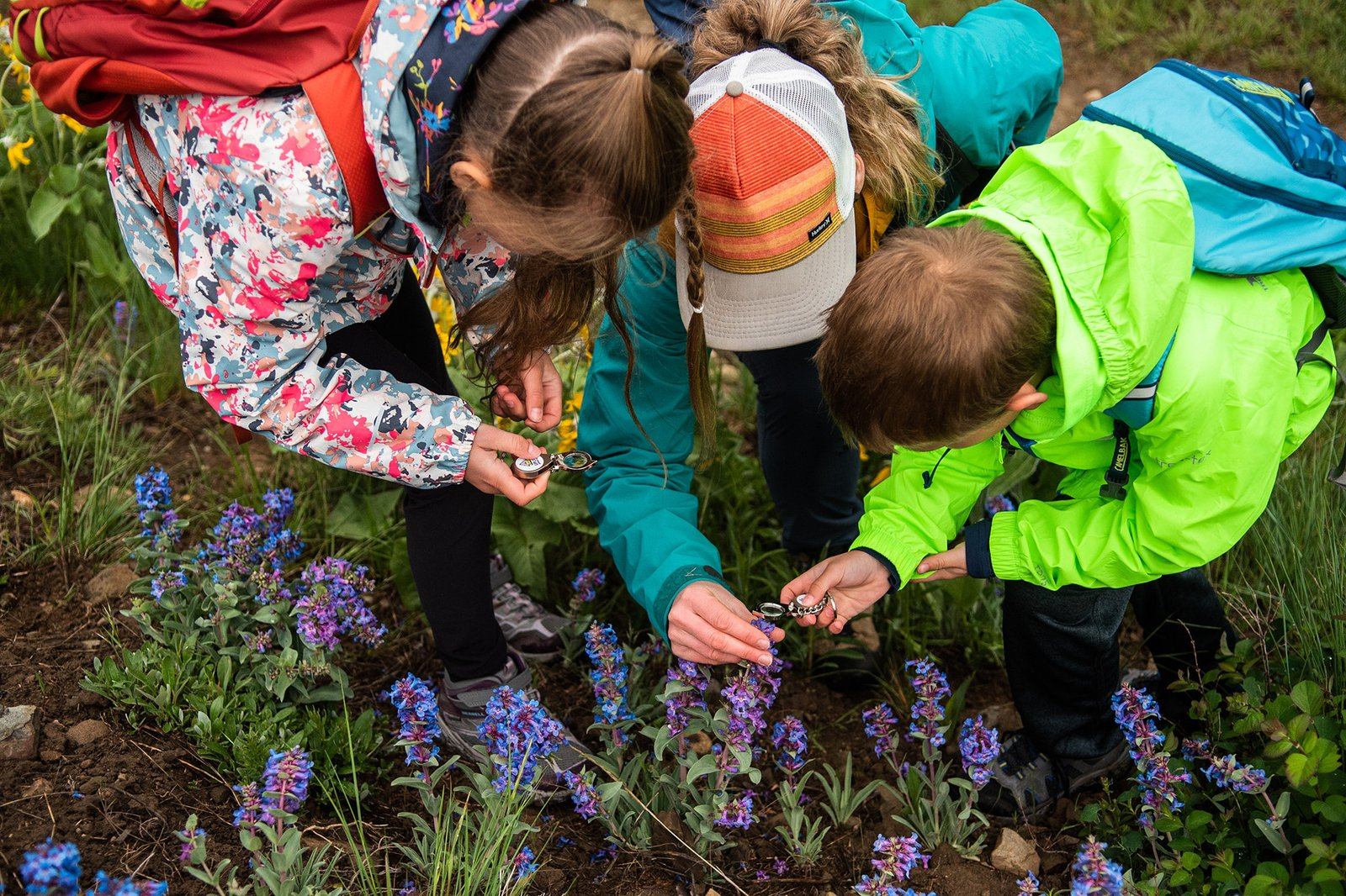 Participants examine purple wildflowers with magnifiers during an outdoor walk.