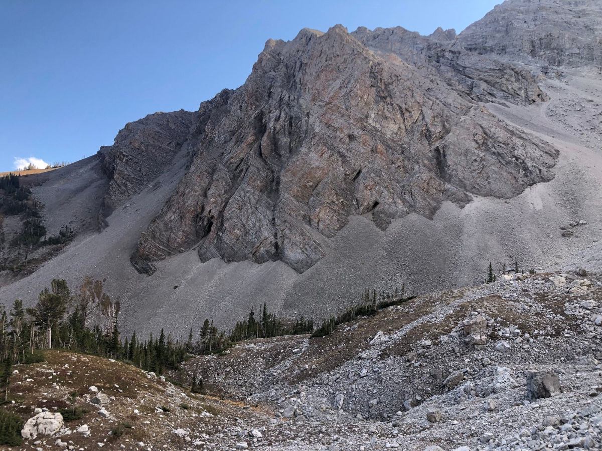 Steep gray mountain slopes and talus fields rising above sparse alpine trees.