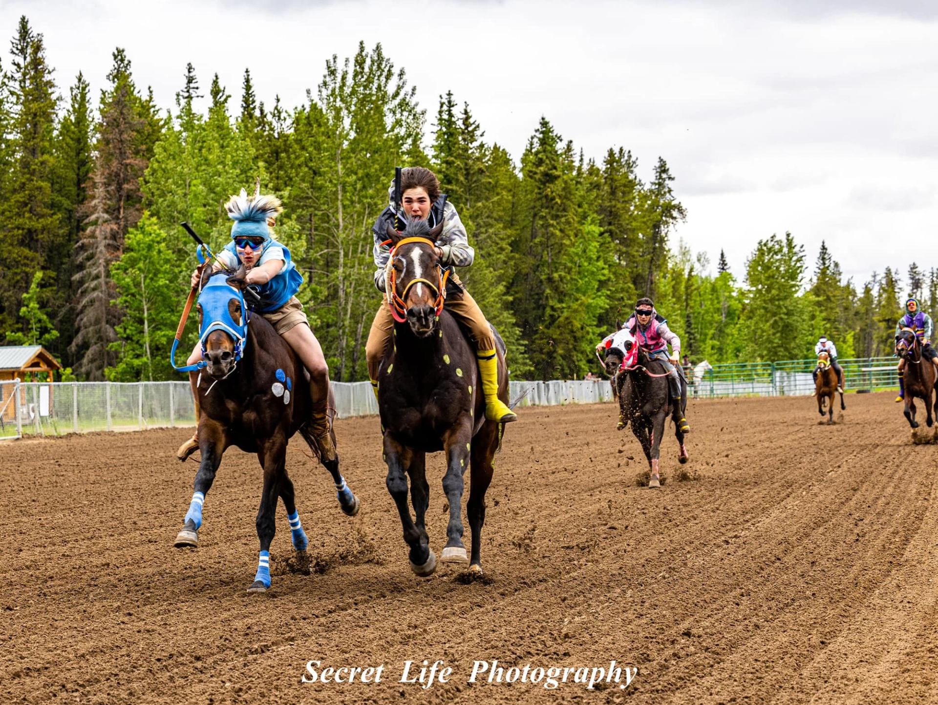 Horse racers gallop down a dirt track with forested backdrop and metal railings.