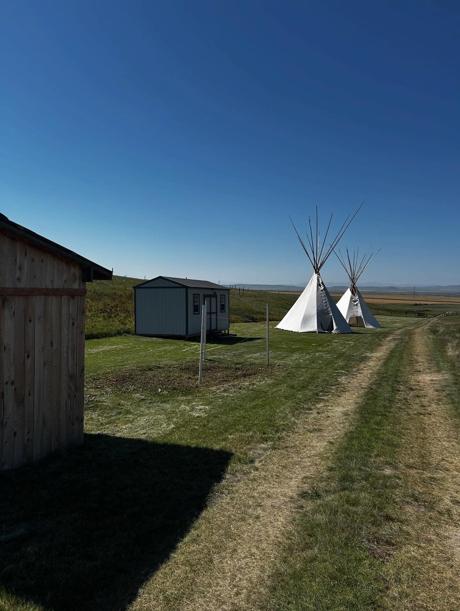 Grassy field with two white tipis, small sheds and dirt path under clear sky.
