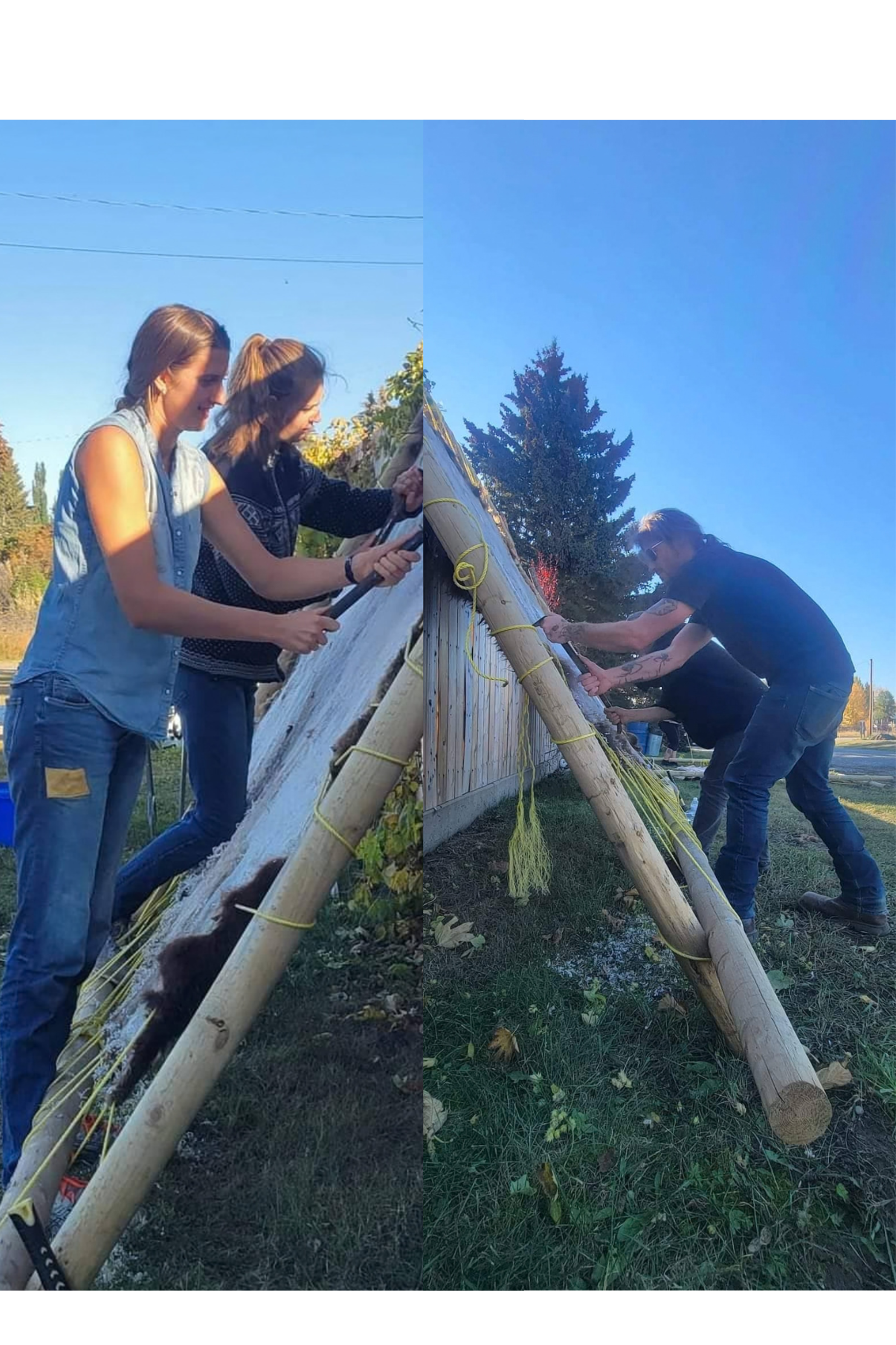 Individuals scraping a hide on a slanted wooden frame outdoors.