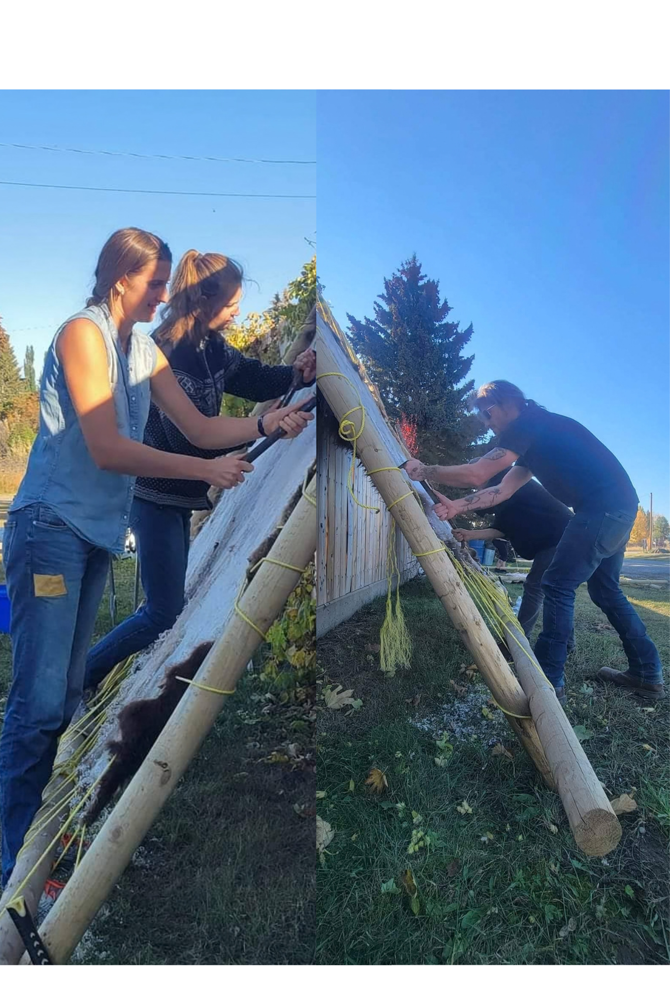 Individuals scraping a hide on a slanted wooden frame outdoors.