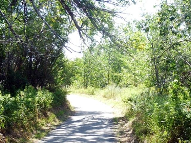 Botterill Bottom Park | Canada's Alberta thumbnail