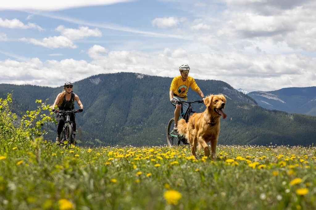 Cyclists ride through wildflower meadow as a dog runs ahead, mountains behind.