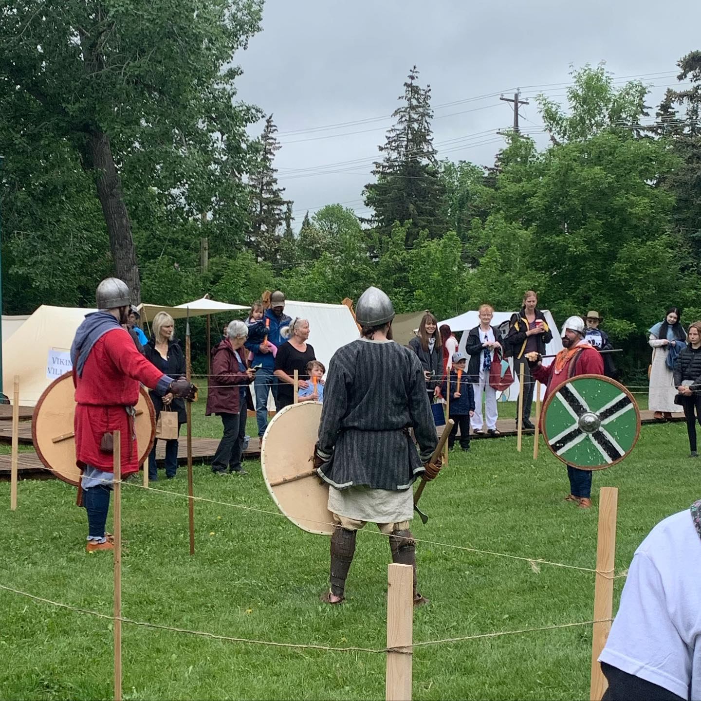 Historical reenactors in costume with shields and helmets on a grassy field.