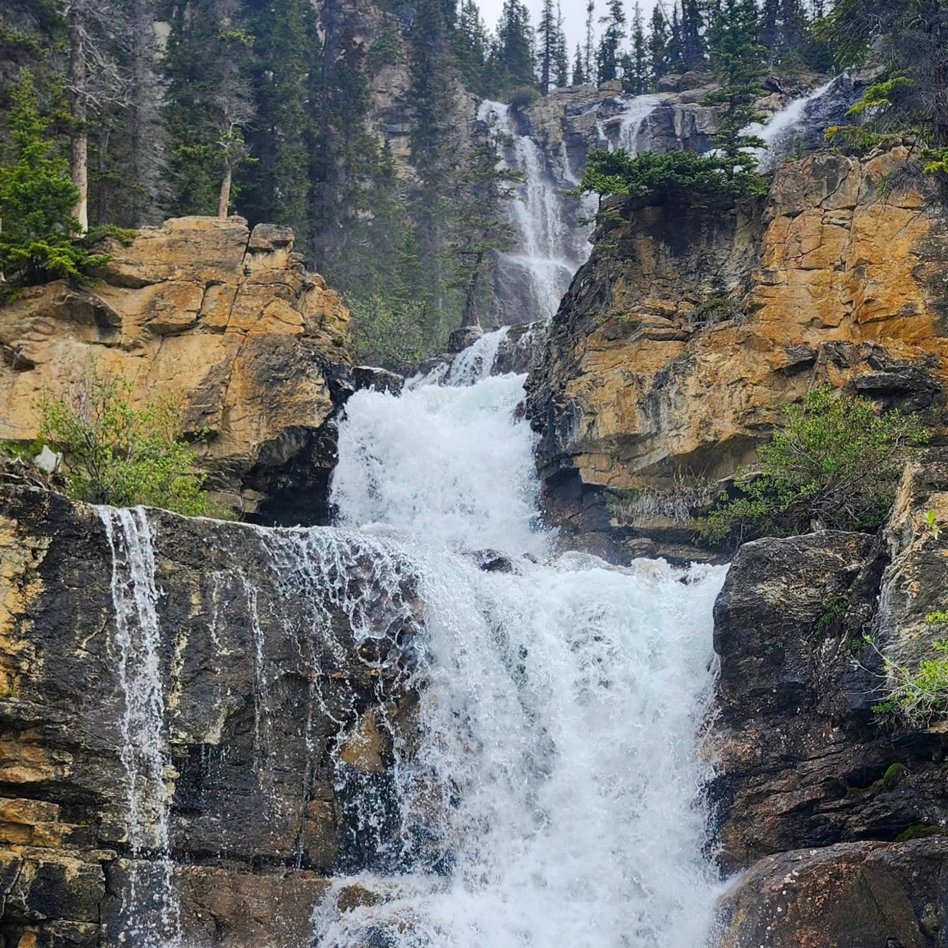 Multi-tier waterfall cascades over rugged rock cliffs surrounded by dense evergreen forest.