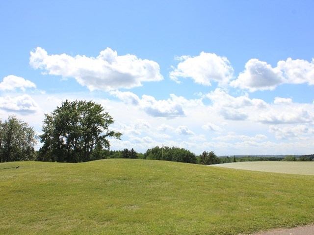 Grassy field with hills, trees, and a blue sky with white clouds.