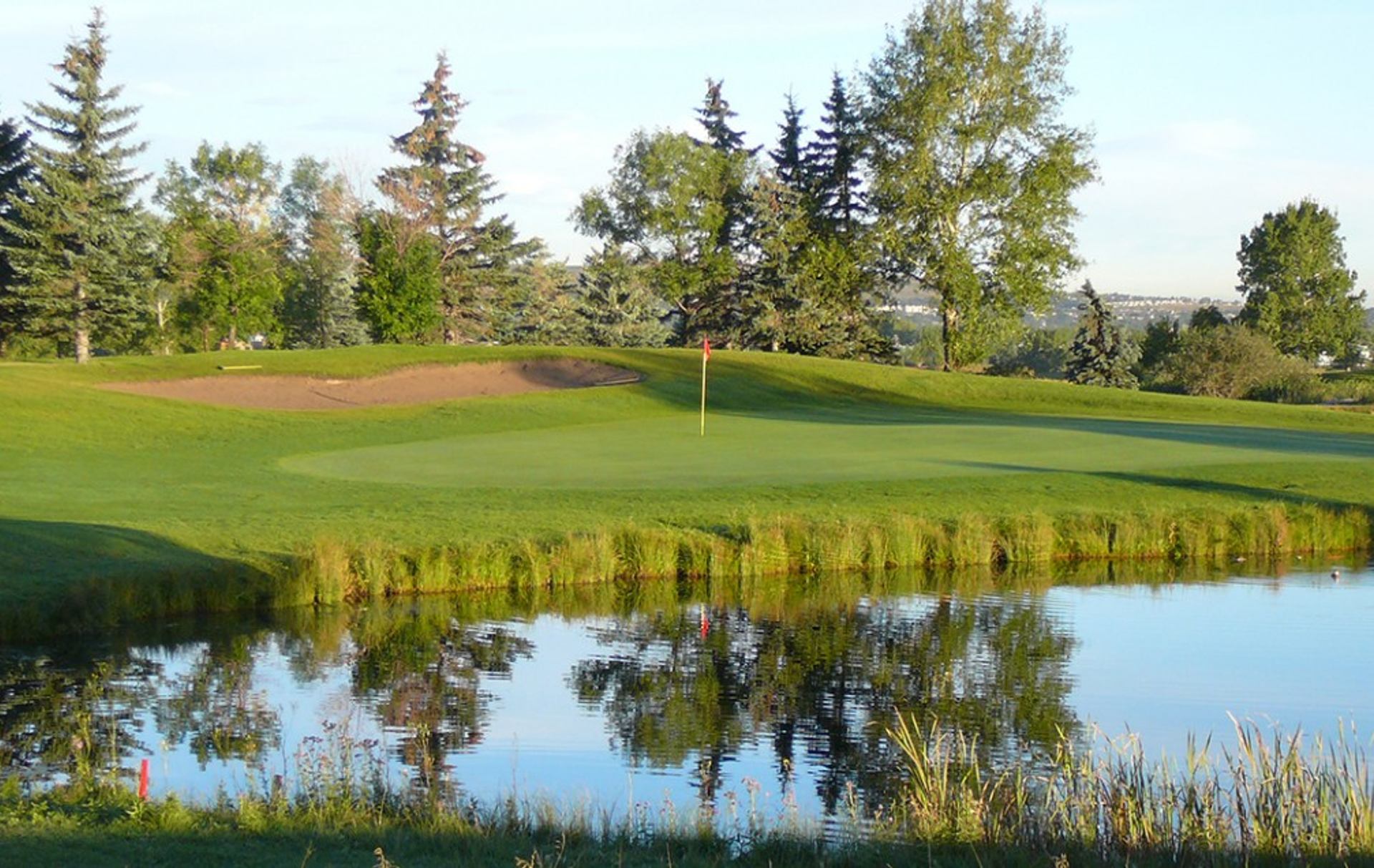 Smooth putting green beside a reflective pond with trees and a sand bunker in soft sunlight.