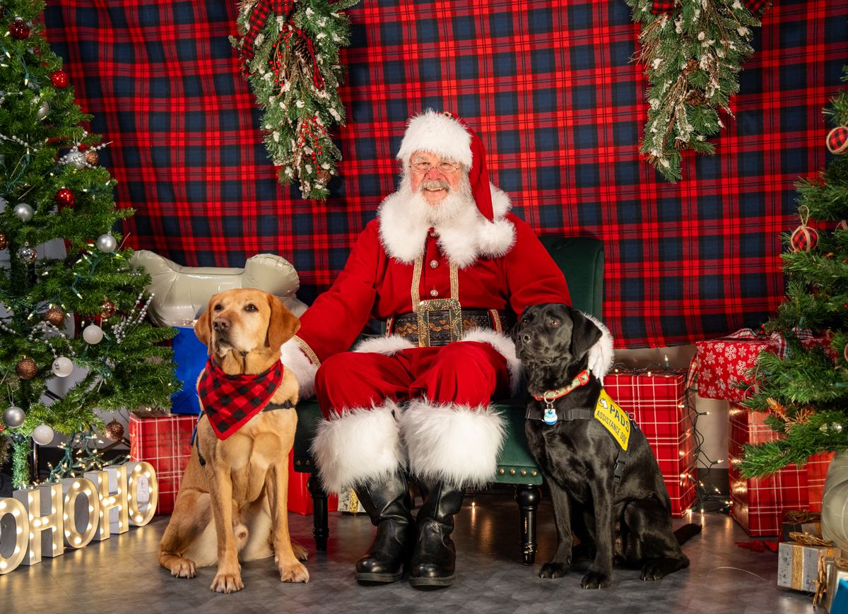 Santa sits with two dogs among Christmas trees, lights and wrapped gifts.