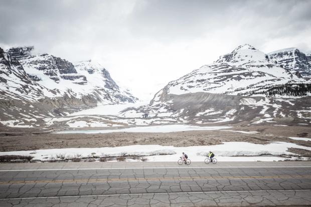 Cyclists riding on the Icefields Parkway with views of the Athabasca Glacier in Jasper National Park.