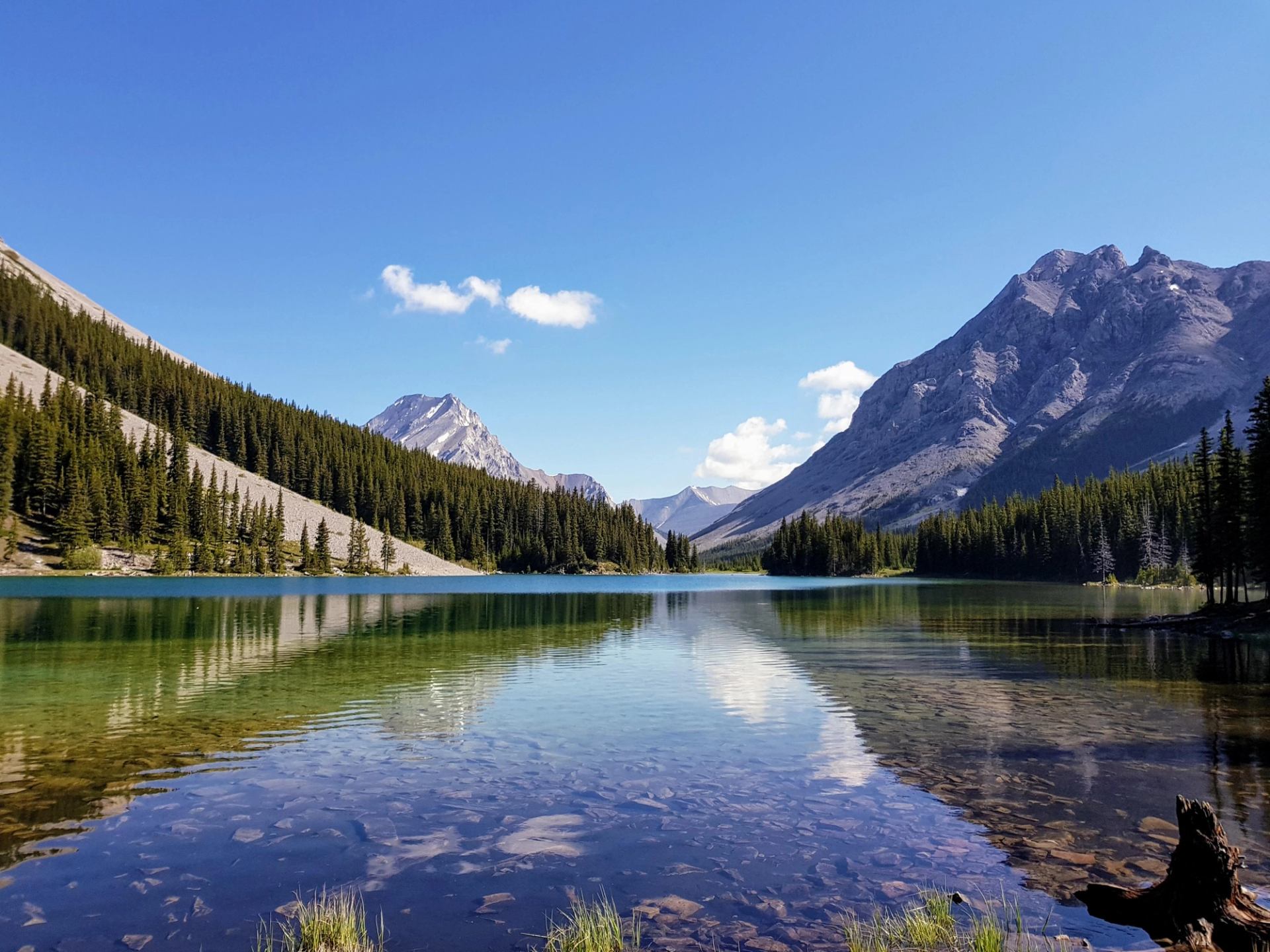 Mountain lake with clear water, evergreen forest and rocky peaks under blue sky.