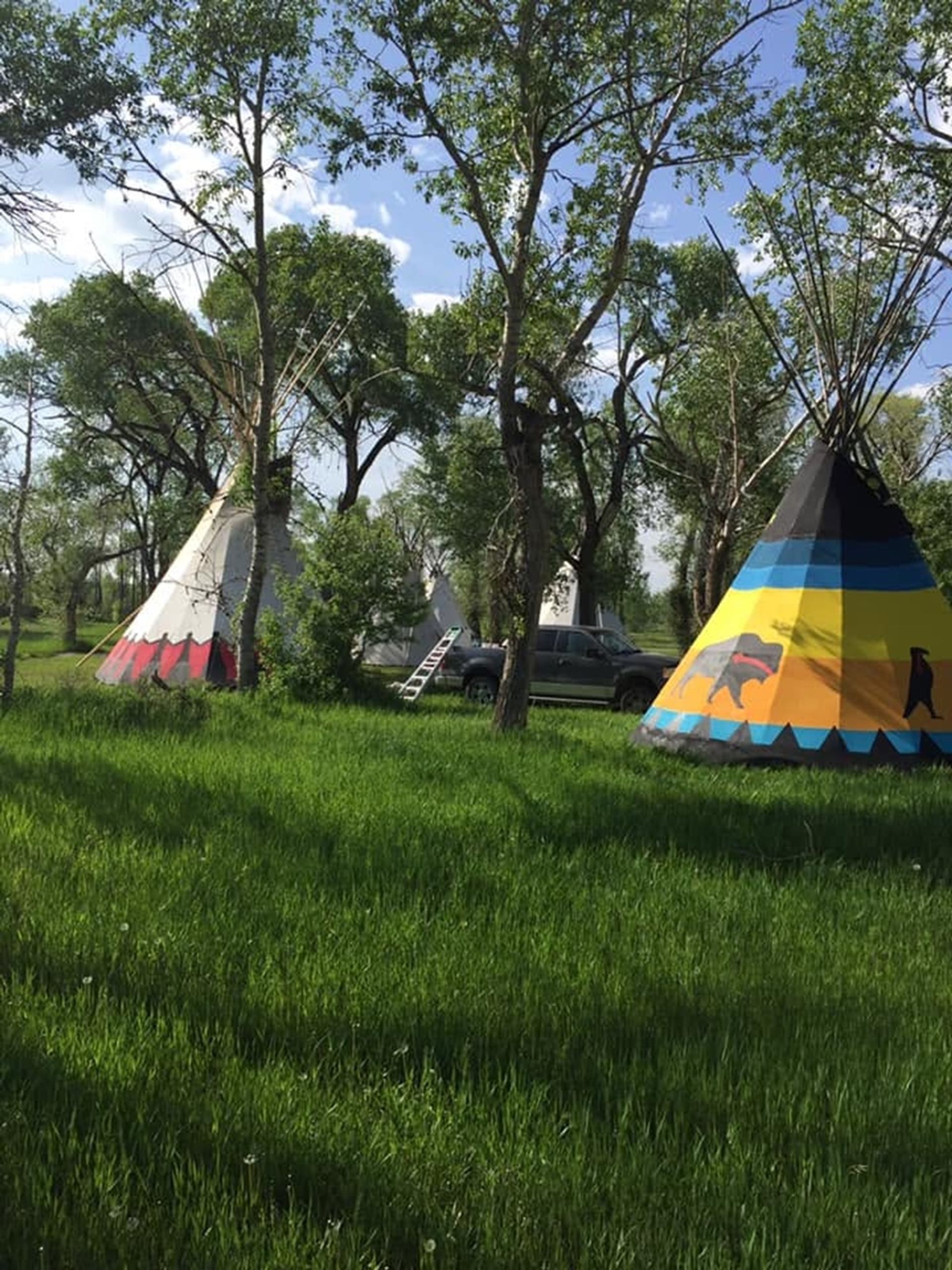 Colourful tipis stand among tall green grass and trees beside a parked vehicle.