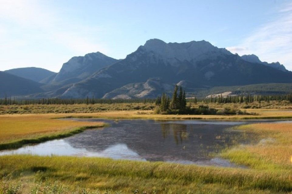 Mountain range beyond grassy meadow and reflective pond under blue sky.