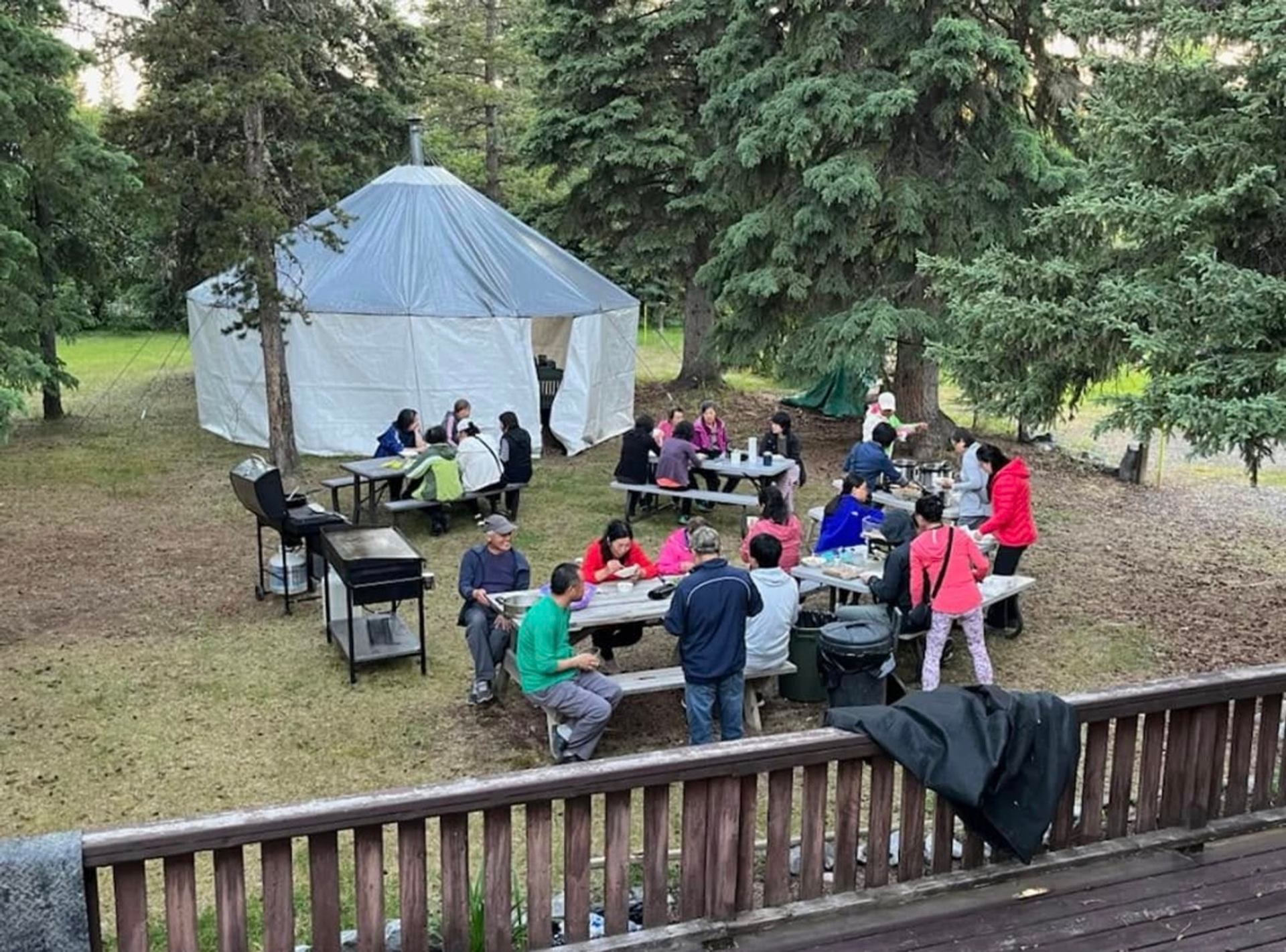 People gather around picnic tables beside a white tent among evergreen trees.