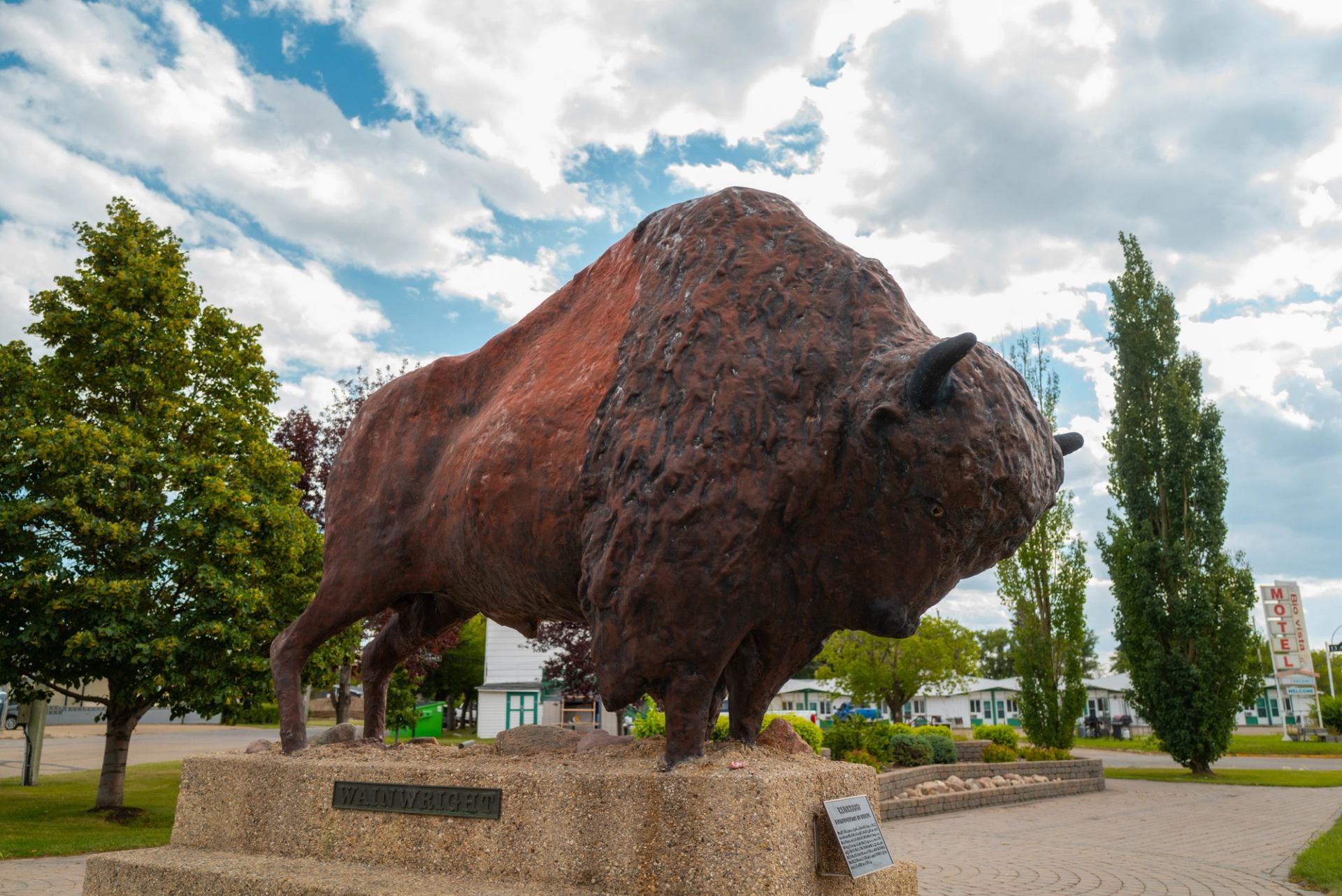 Bison statue in Town of Wainwright.