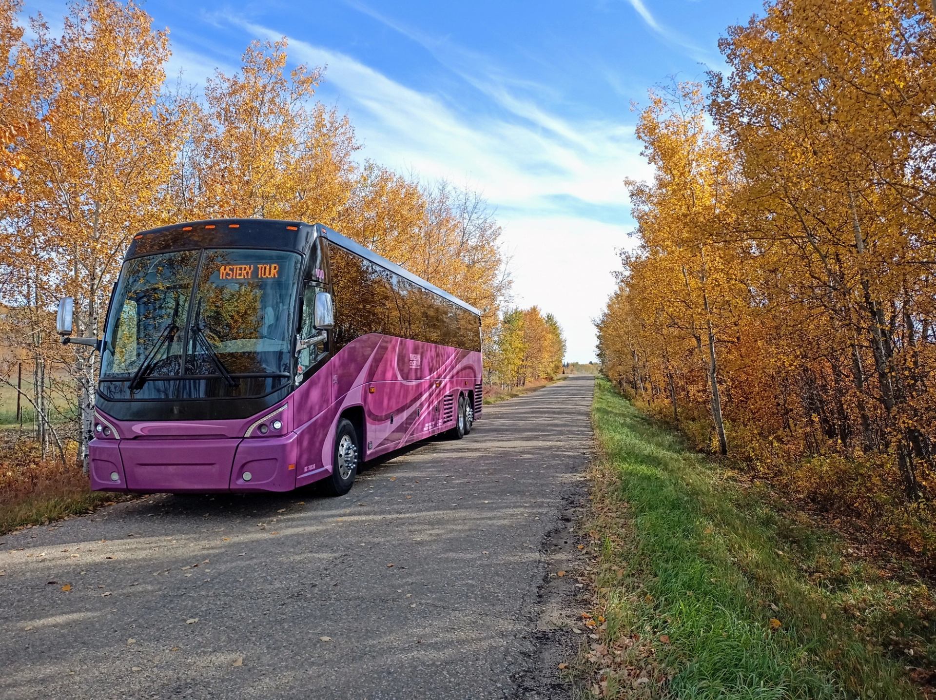 Pink Nagal Coaches bus on rural road with orange autumn trees and blue sky.