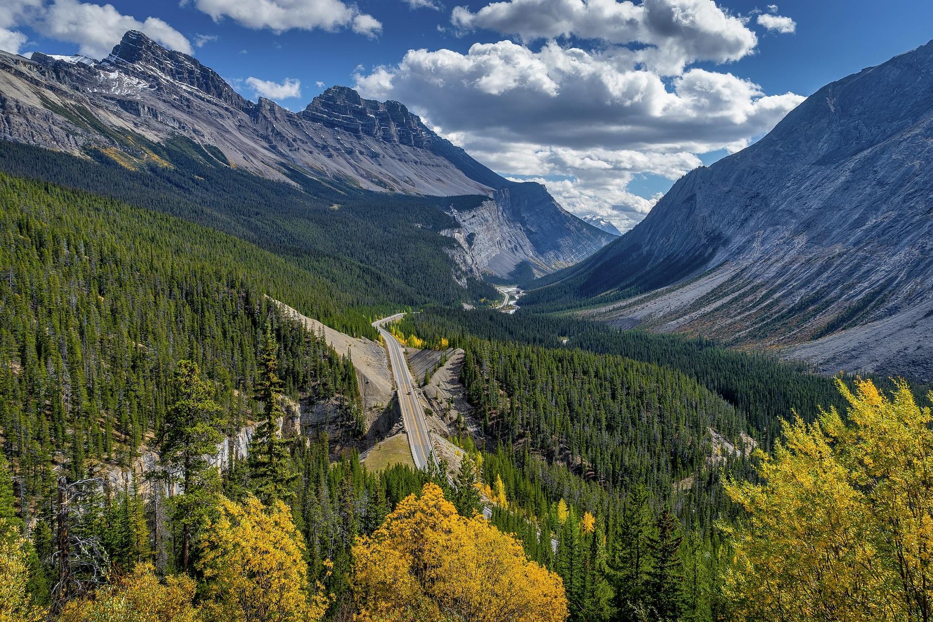 Mountain valley with highway winding through dense evergreen forest and yellow trees under clouds.