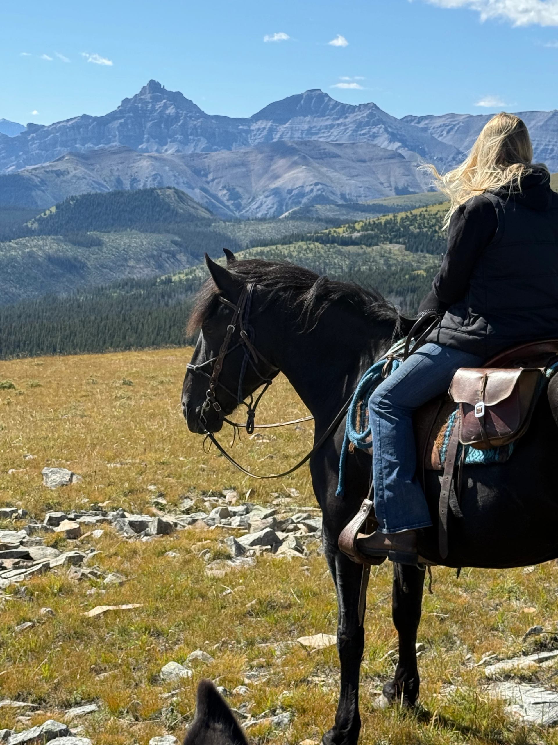 A rider on a black horse overlooking rugged mountain peaks and open meadows.