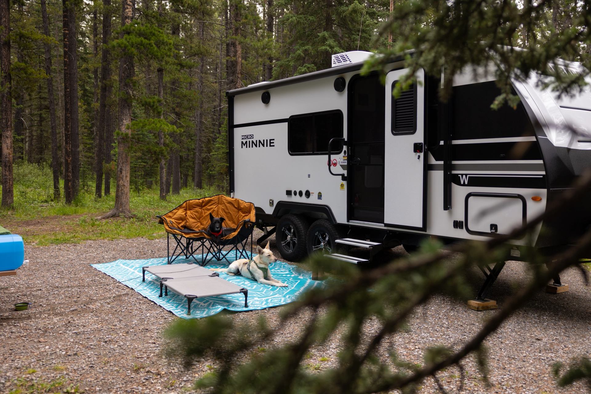 Camping trailer with Micro Minnie logo, chairs and two dogs on mat in forest.