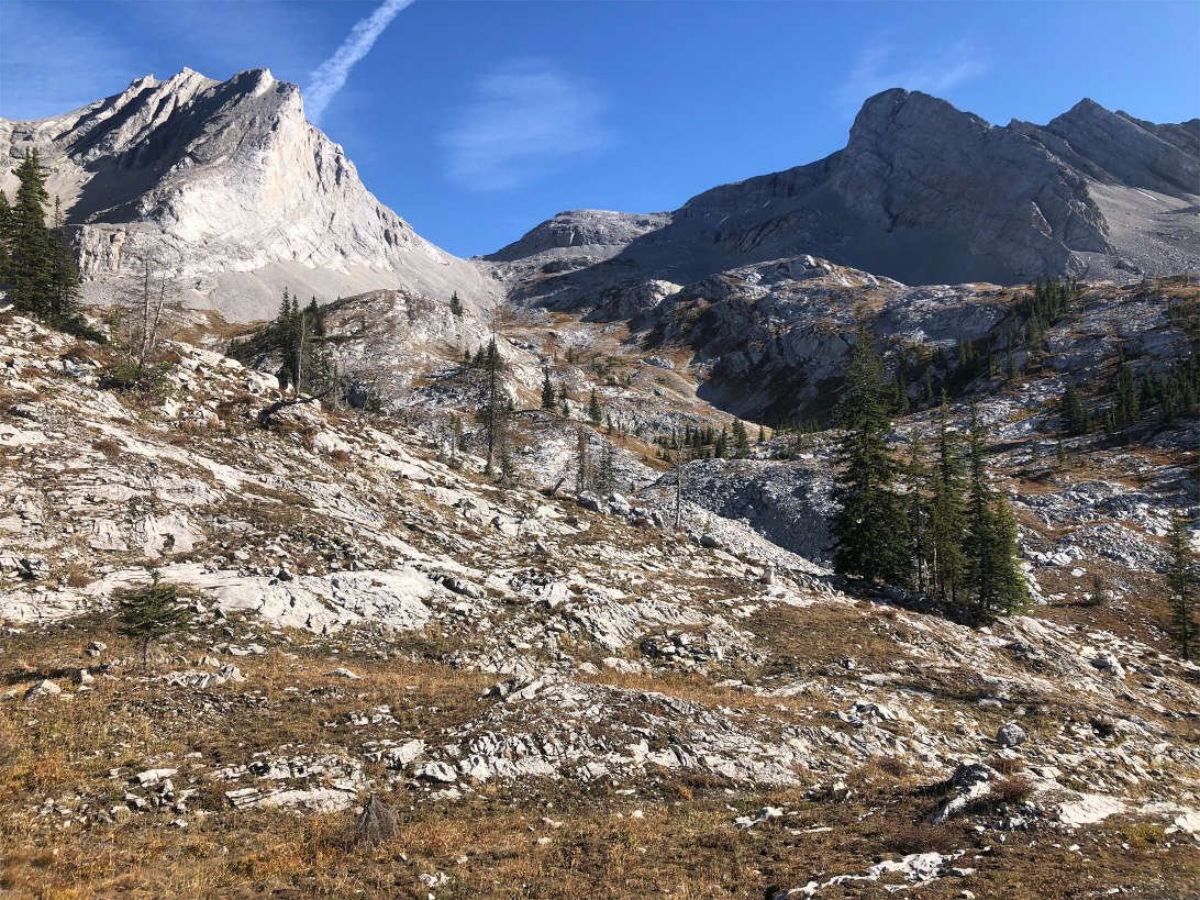 Rocky mountain slope with scattered evergreen trees under a clear blue sky.