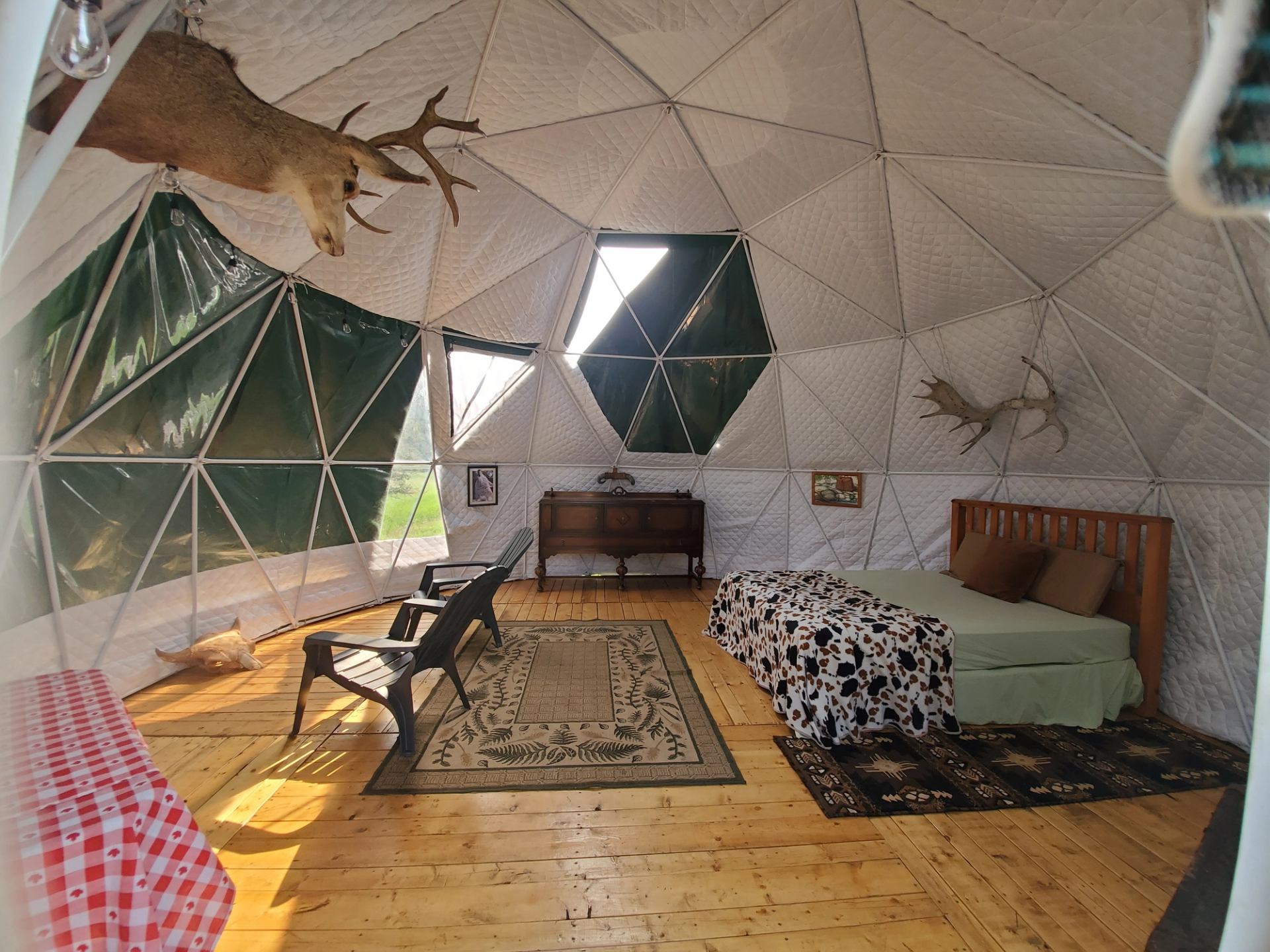 Geodesic dome interior with bed, chairs, rugs, taxidermy deer and antlers on walls.