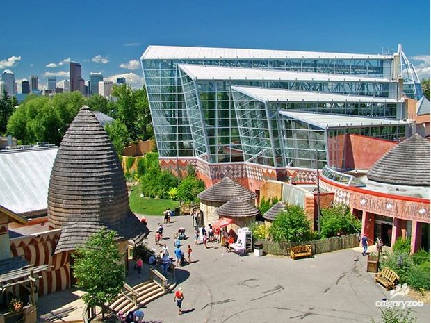 Aerila view of Destination Africa area of the Calgary Zoo.