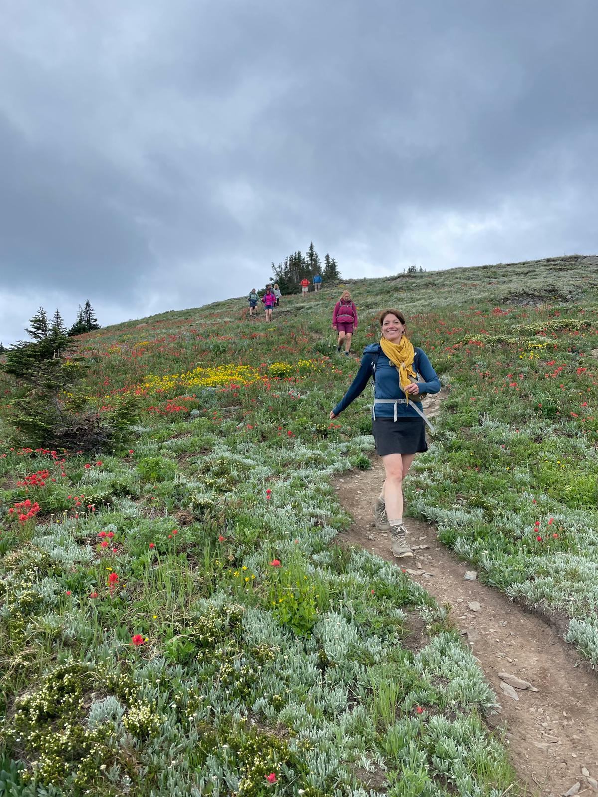 Hikers walk along a dirt trail through wildflowers on a grassy mountain slope.