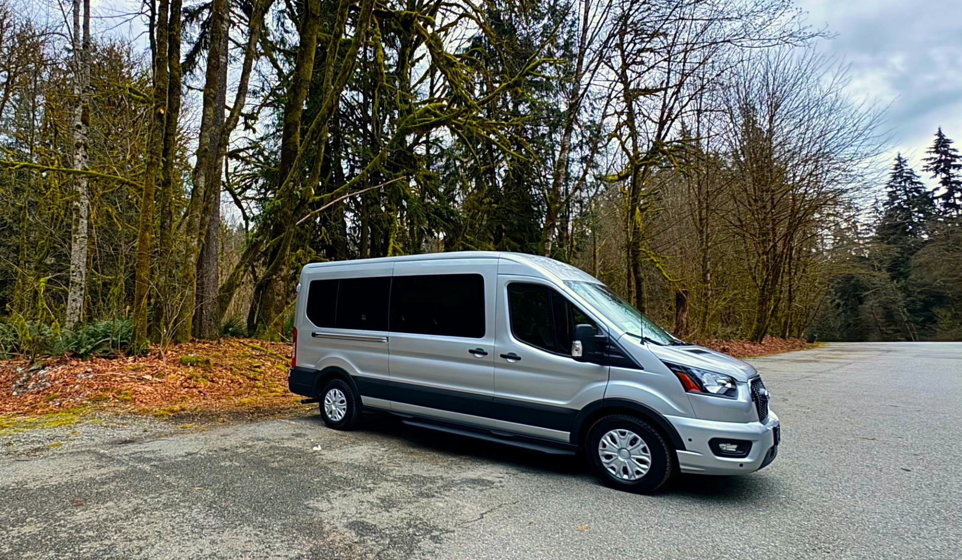 Silver passenger van parked on paved pullout beside tall mossy trees and forest.