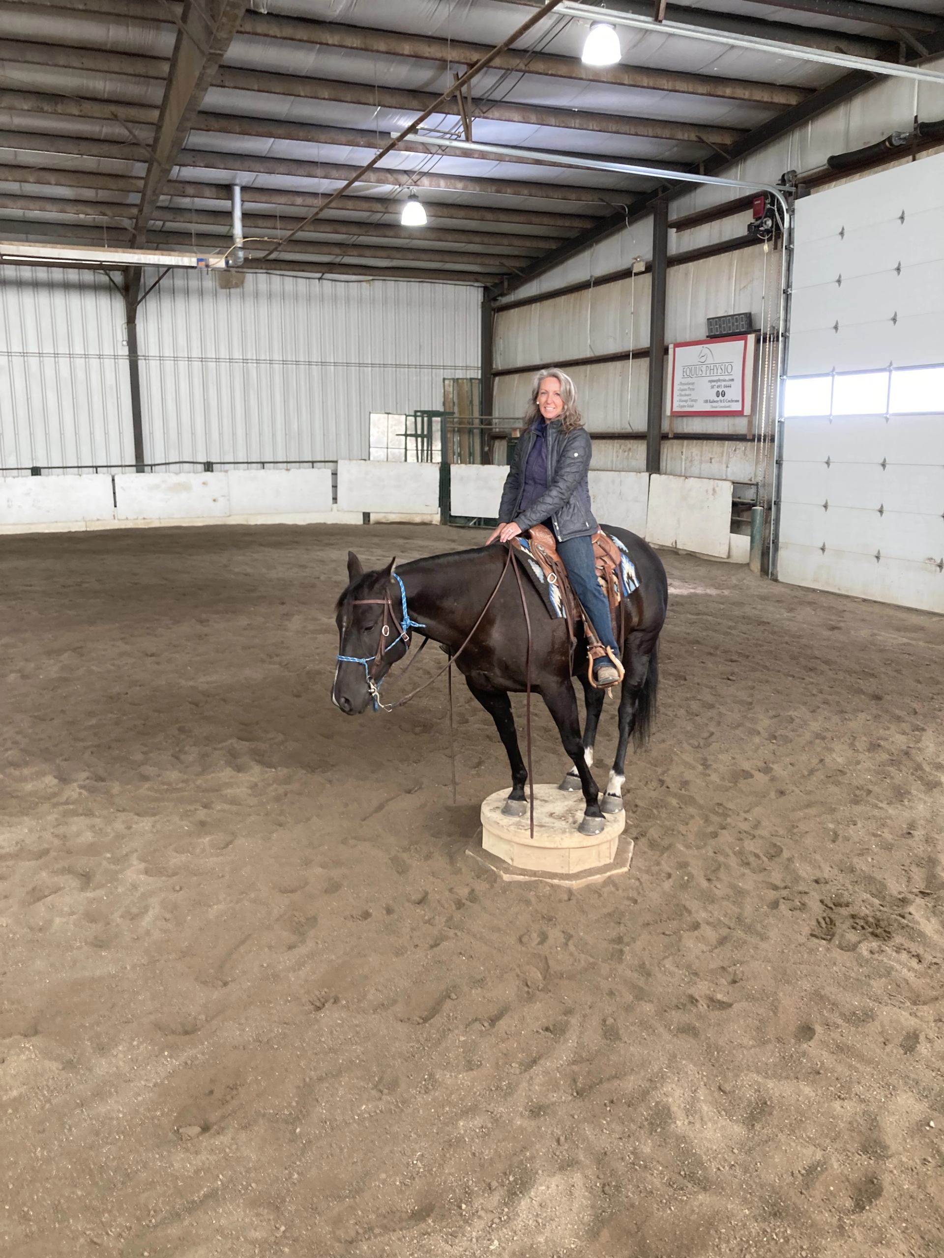 Indoor arena training with rider standing horse on a block