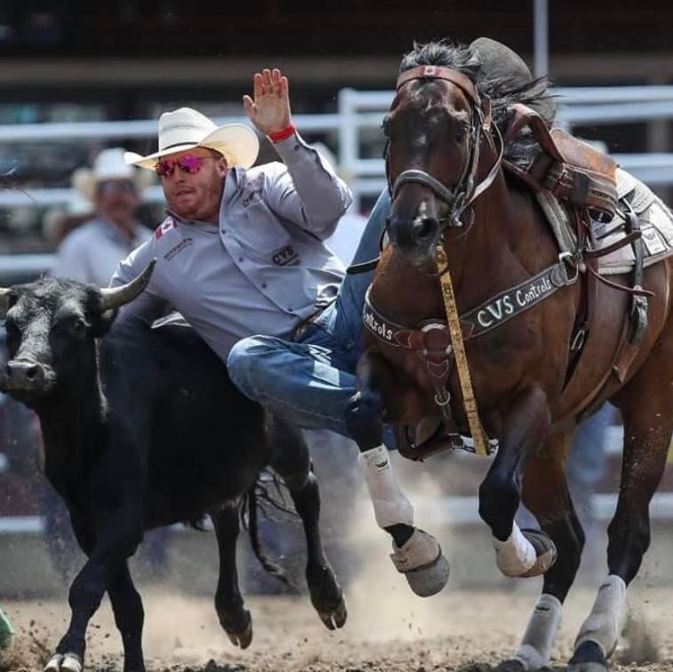Rodeo competitor alongside a horse during a steer wrestling event in a dirt arena at the Stavely Pro Rodeo.