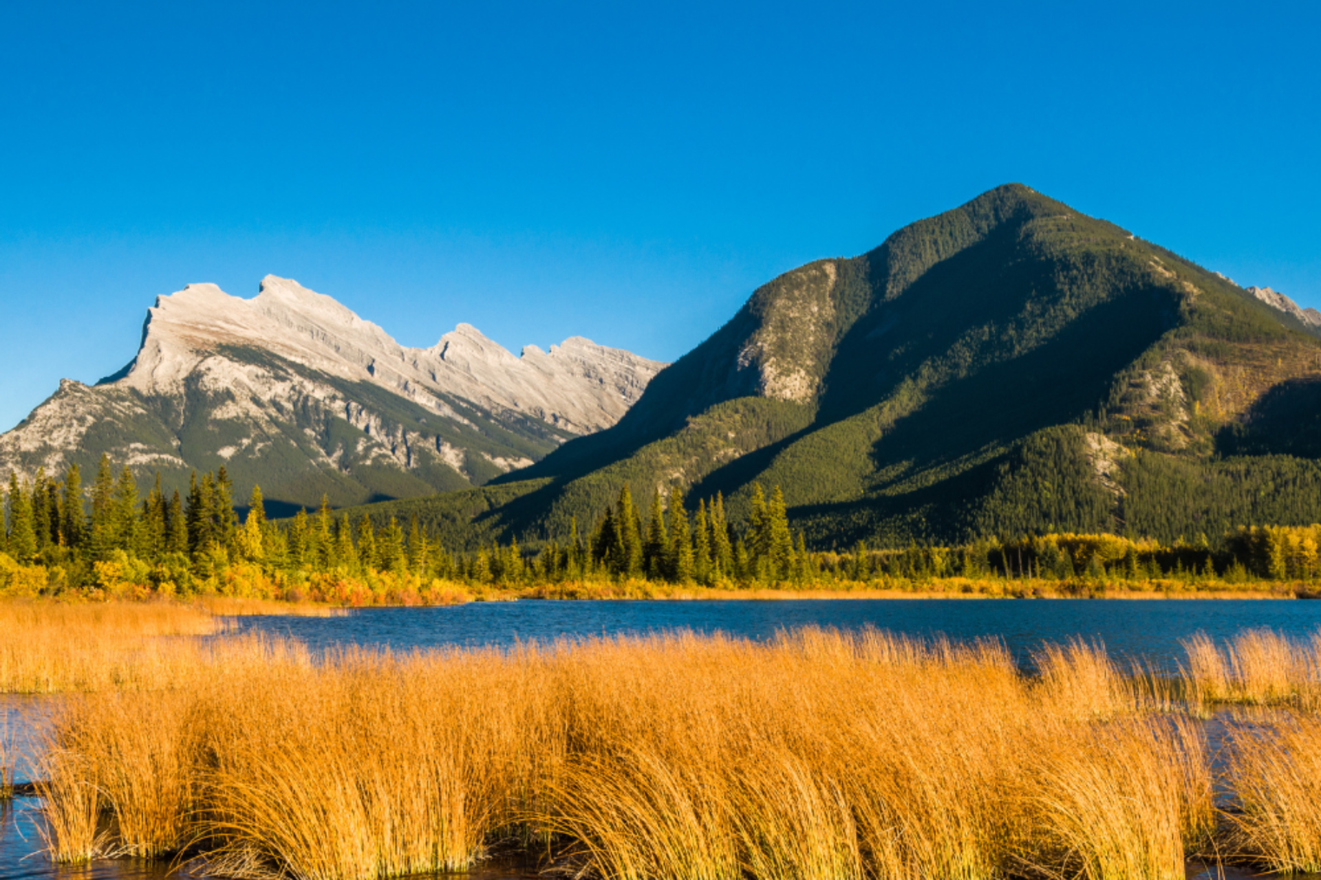 Mountains rising behind golden grasses and a blue lake on a bright sunny day.