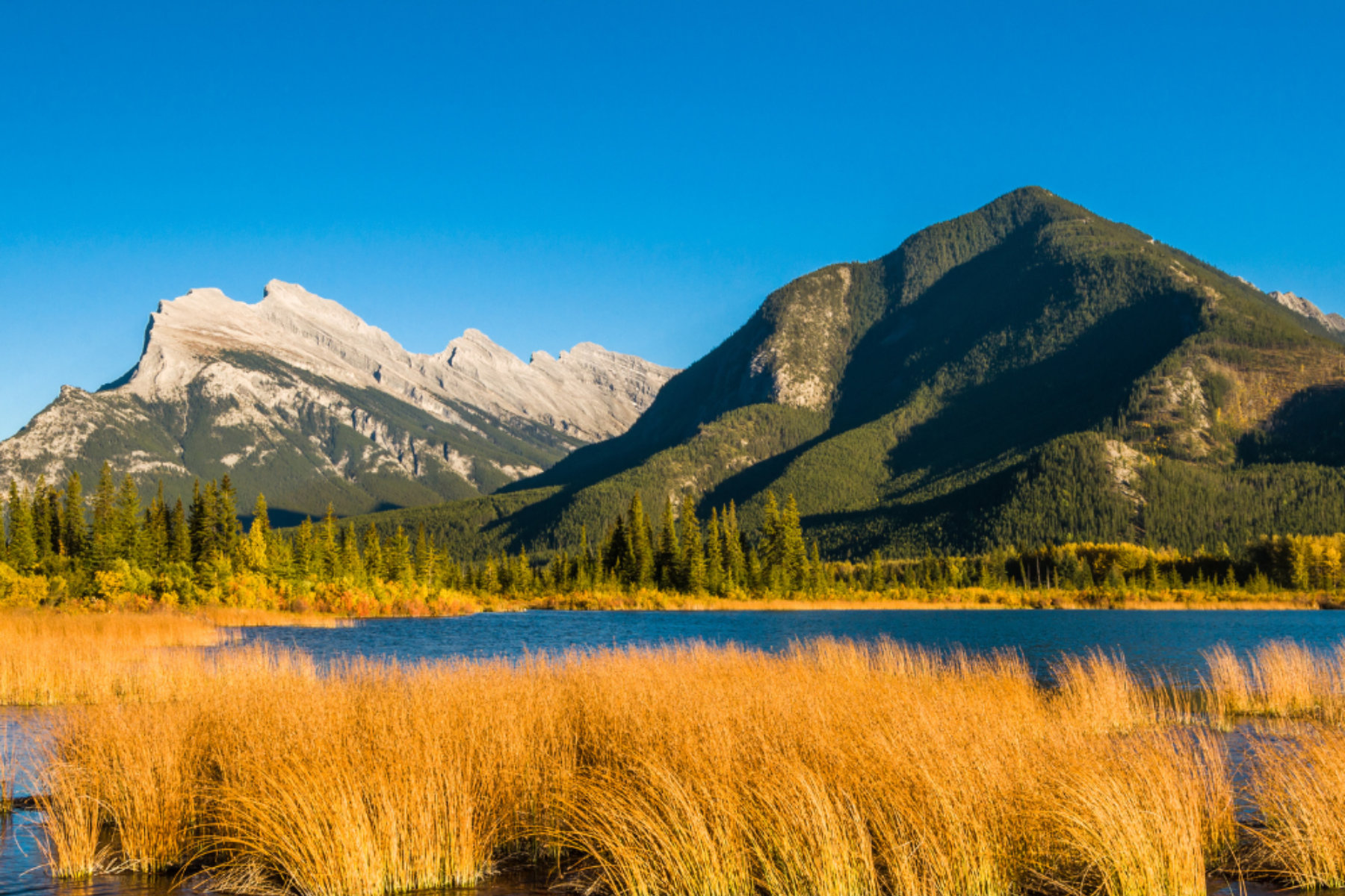 Mountains rising behind golden grasses and a blue lake on a bright sunny day.