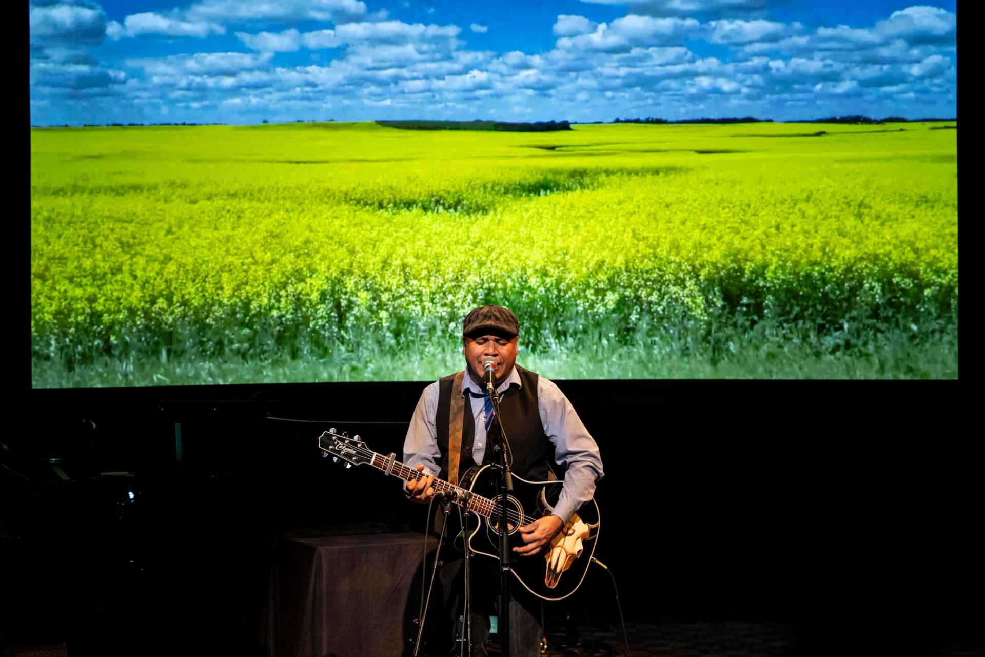 A musician performing onstage with a bright prairie field projected on the screen behind them.