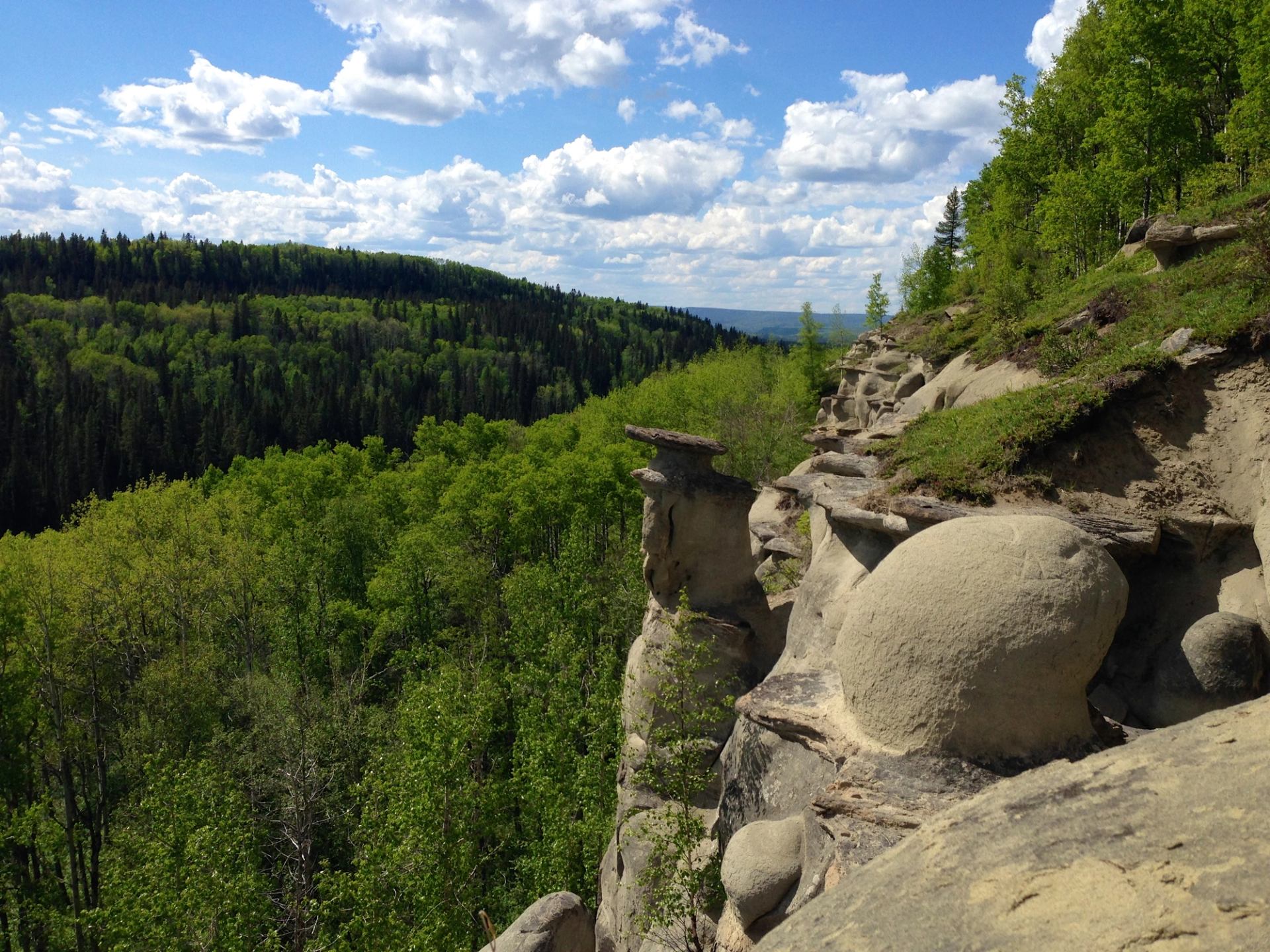 Sandstone hoodoos line a forested cliff above dense green trees and distant hills.