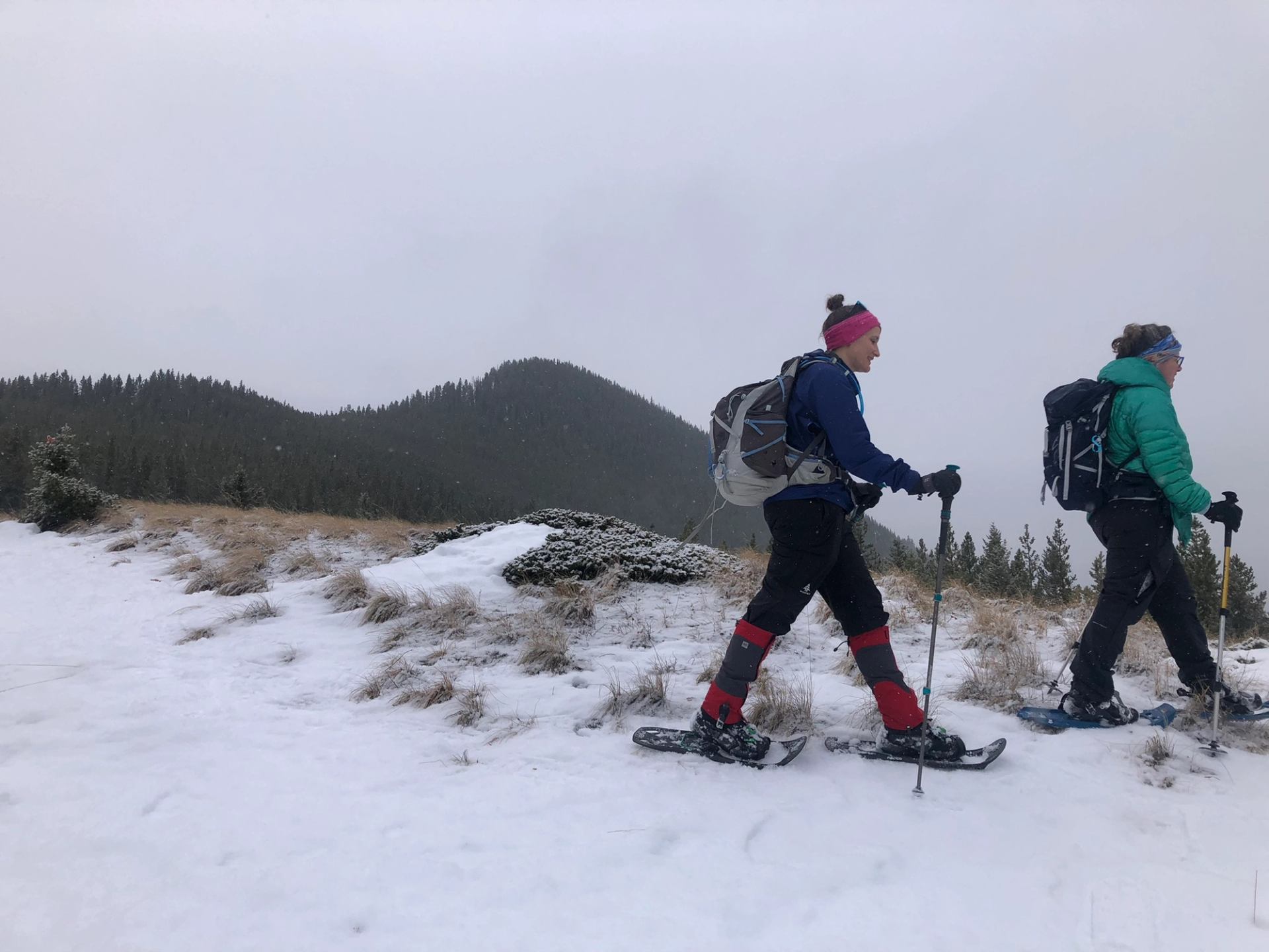 Two hikers snowshoeing along a snowy ridge with forested hills in the background.