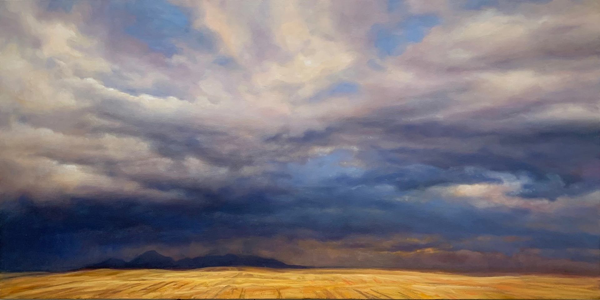 Golden prairie beneath layered storm clouds and distant dark mountains.