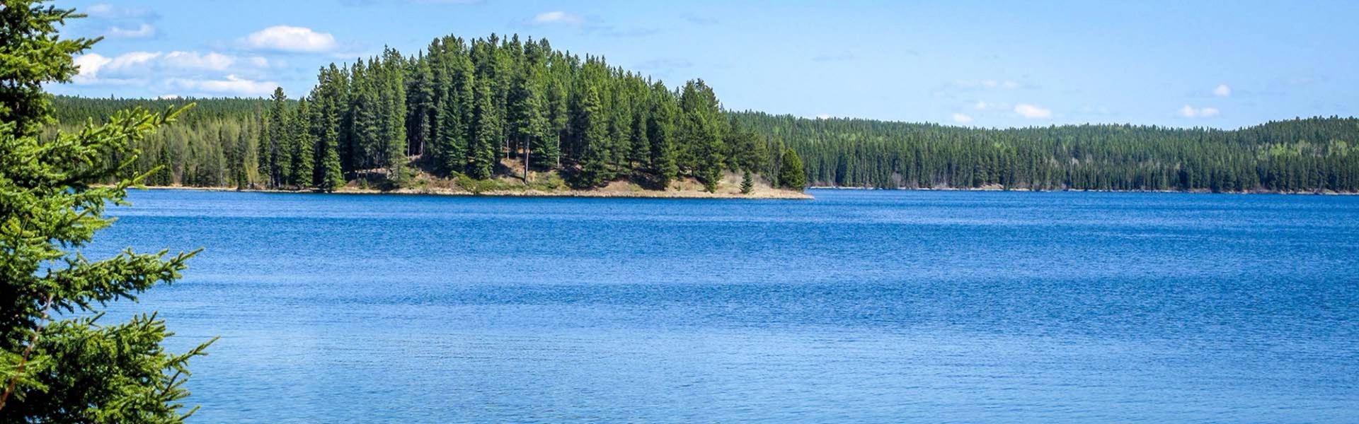 Blue lake with forested shoreline under a bright summer sky at Minnow Lake Provincial Rec Area