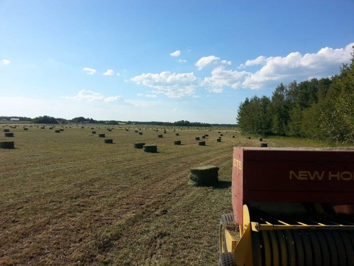 Hay bales scattered across a large field with baler machine and tree line.