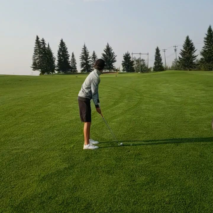 Golfer lining up a shot on lush fairway with trees in background