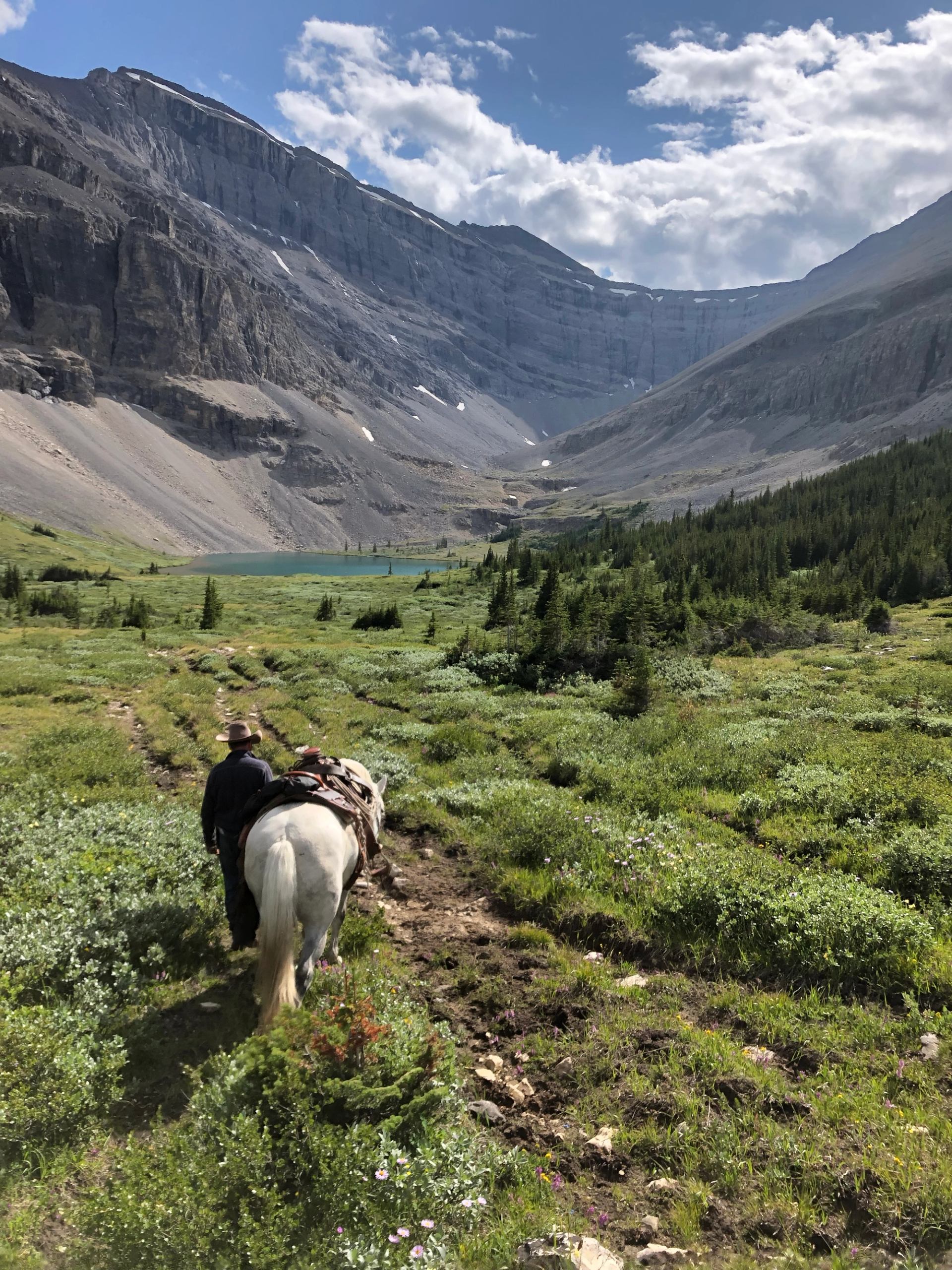A pack horse follows a narrow trail through a lush alpine meadow toward dramatic mountain cliffs and a turquoise lake.
