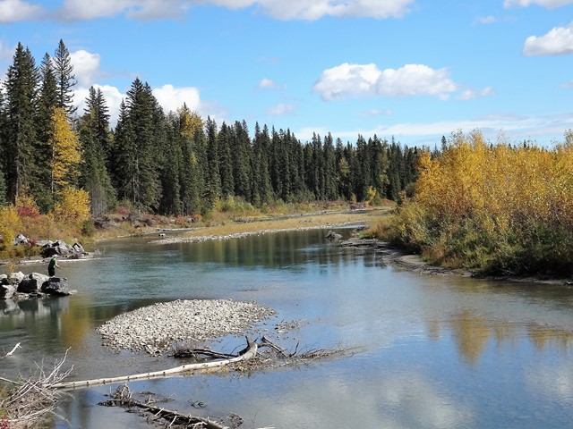 A river surrounded by trees