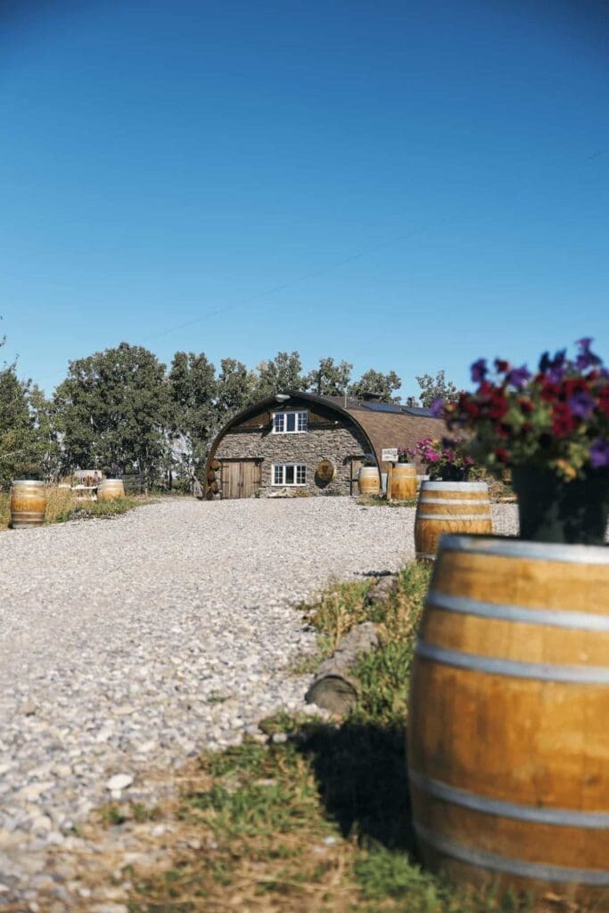 Gravel driveway leading to stone building, lined with wooden barrels and potted flowers.