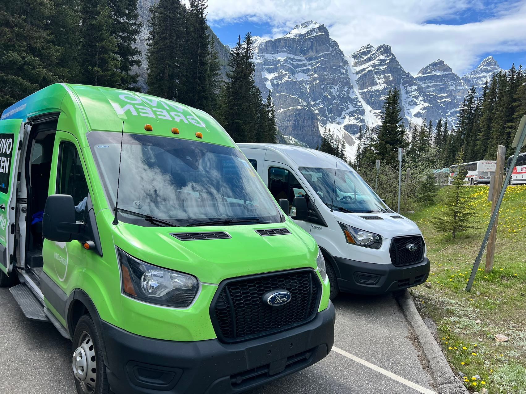Green and white vans parked before snow-covered mountains and evergreen trees.