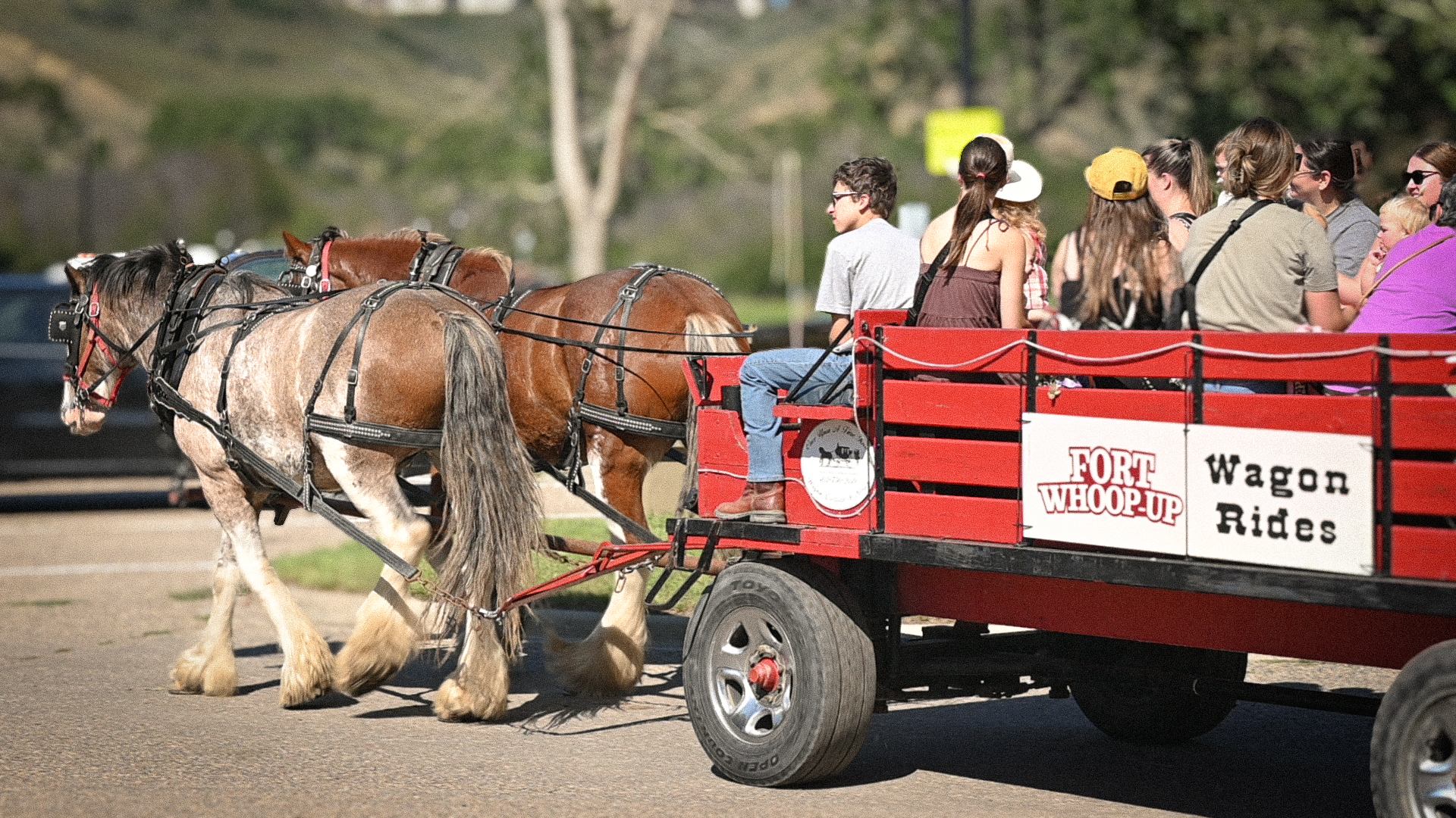 Two horses pull a wagon full of people.