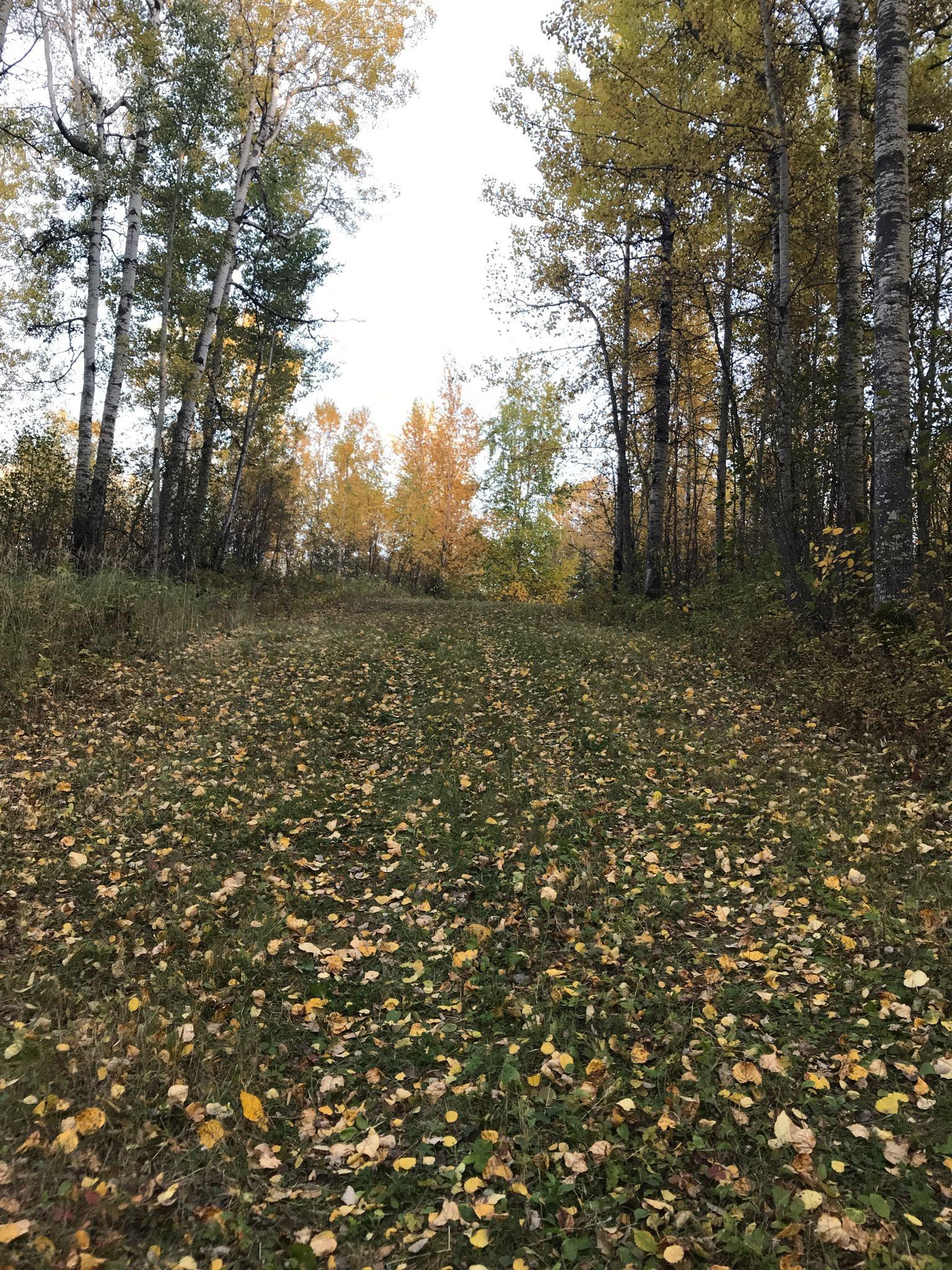 North Loop | Canada's Alberta thumbnail