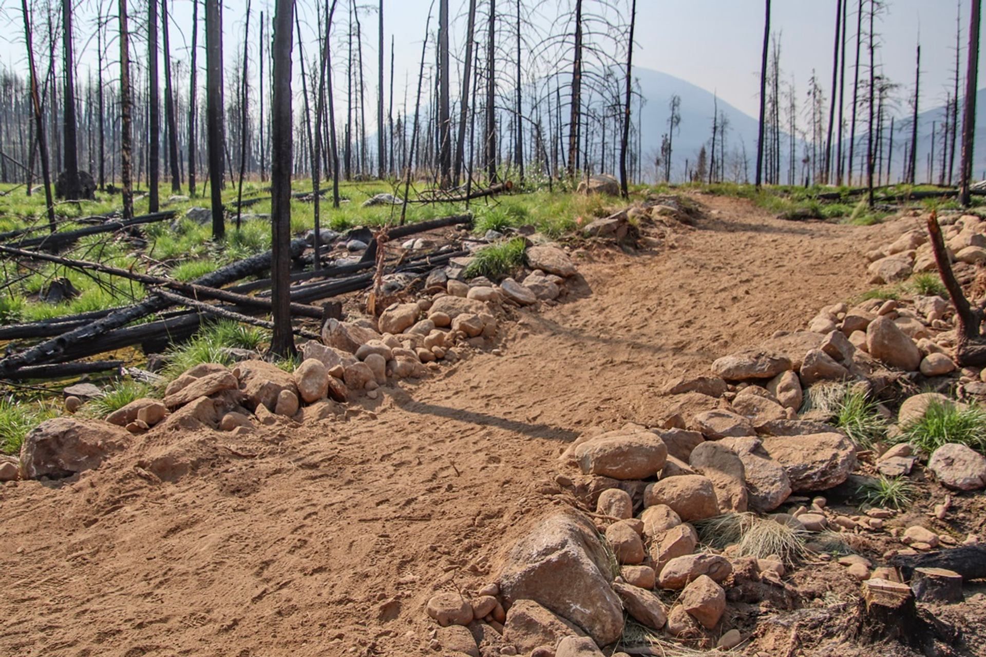 Dirt trail curves through burned forest with blackened tree trunks and scattered rocks.