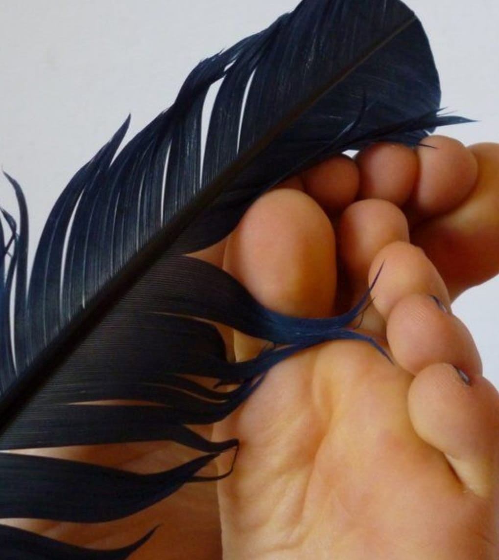 Hands holding small brown eggs and a black feathered fan.